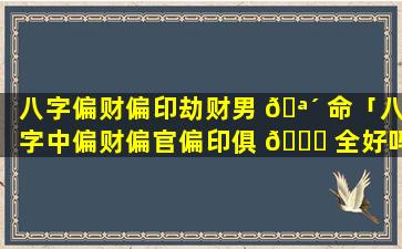 八字偏财偏印劫财男 🪴 命「八字中偏财偏官偏印俱 🐝 全好吗」